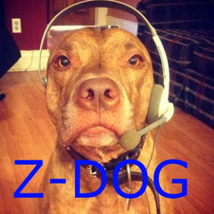 Z-DOG GAMER