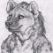 Hyena