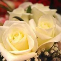 Eman Ali
