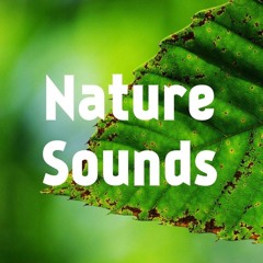 Nature Sounds