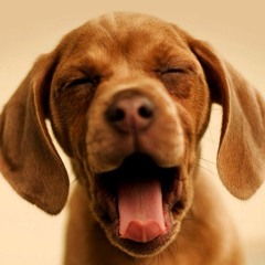 Lia De Vega Sianturi