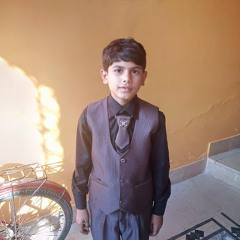 Mirza Shakir