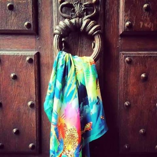 حبيبي يا رسول الله هل تقبل / زينب صبار