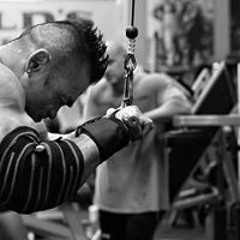 mahmoud el shahat