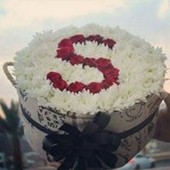sabahelsayed2012@gmail.com