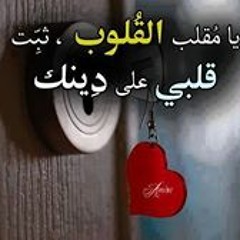 Hossam Elsaily