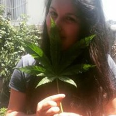 Danae Francisca Valencia