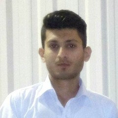 Faisal Mobin