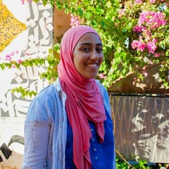 Tokallah M Hussein