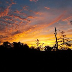 Zachary Dillen Robertson