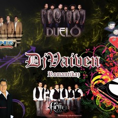 Los Cardenales De Nuevo Leon - DjVaiven