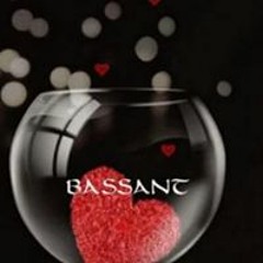 Bassant ayman