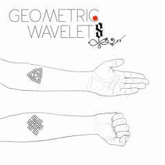 Geometric Wavelets