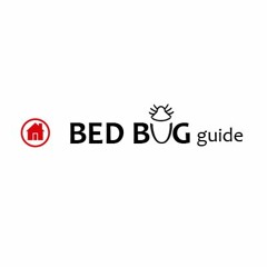 Where Do Bed Bugs Hide