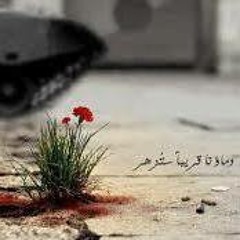 Abrar Hamed