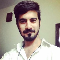 thewaleedahmed