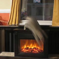 TOMMY and BOBBY's HOLIDAY