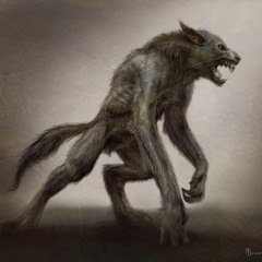 The Don Wolf