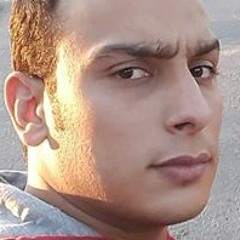 Amr ELsayed Ghanem