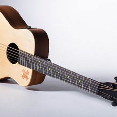 Stefano Gianvincenzi