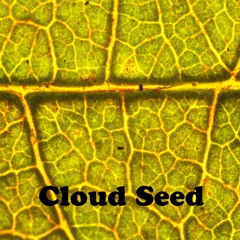 Cloud Seed