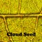 Cloud Seed