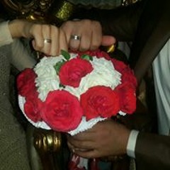 Mahmoud Ragab