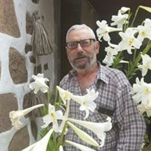 Alfredo Torres Veqa’s avatar