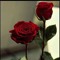 user27840952
