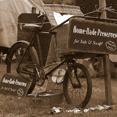 Samantha Jane fiddle