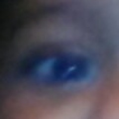 theanimalgamer04
