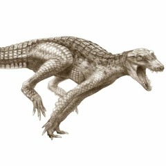 Krokodile Record Label