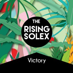 The Rising Solex