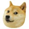 Doge