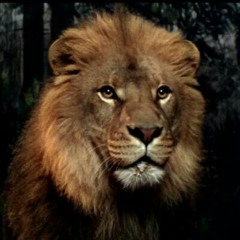 Cristóbal Hernández P.