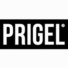 PRIGEL GALLERY