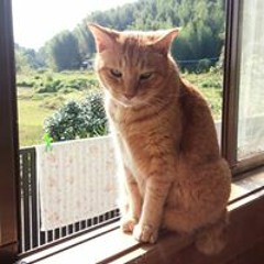 加藤多美代