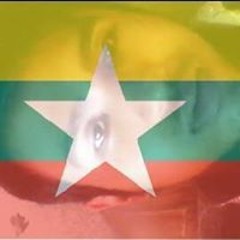 ကဝ သားေလး