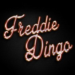 FreddieDingo