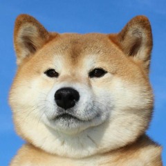 CloseTheWikipedia