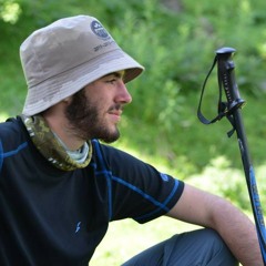 zohar david