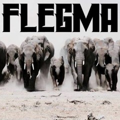 FLEGMΔ