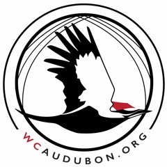 WCAudubon