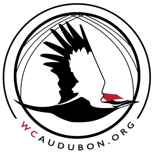 WCAudubon’s avatar