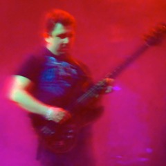 Brett Picknell - Bassist