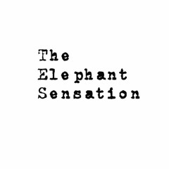 The Elephant Sensation