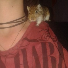 Flowie