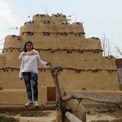 Rowida Elbahi