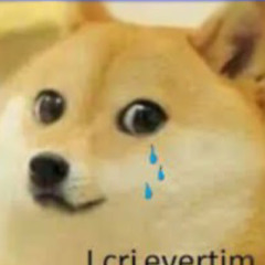 Sad_ Doge