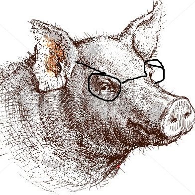 Igneous Pig music
